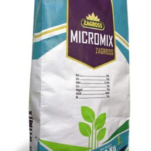 میکرومیکس زاگرس