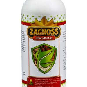 سیلیکوپتاس زاگرس